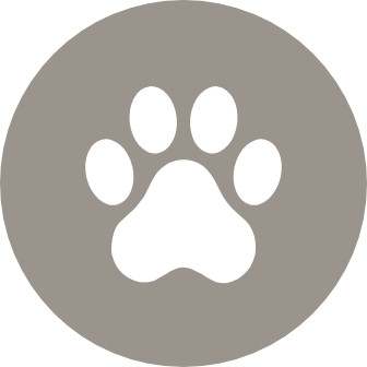 Play with Rover at the dog park&nbsp;
